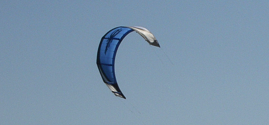Typical Shape of a C-Kite : Very curved leading edge 