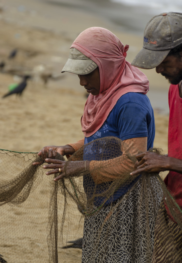 Checking the nets in Negombo 