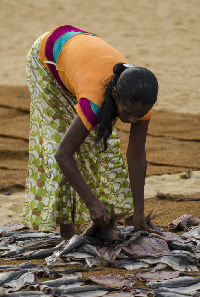 Negombo Fish market