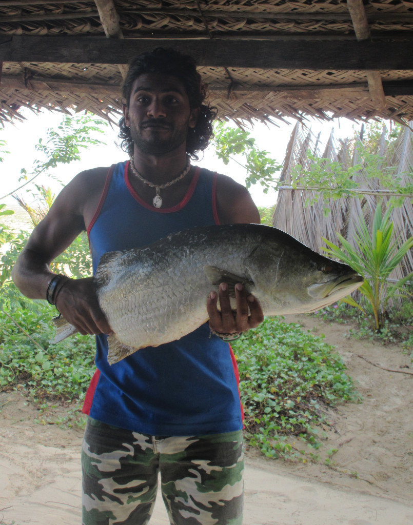 Mawfeer thinks the barramundi would work as a gun