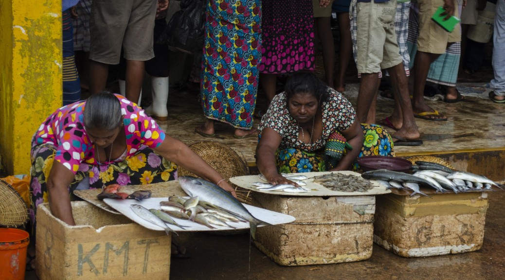 fish market negombo,